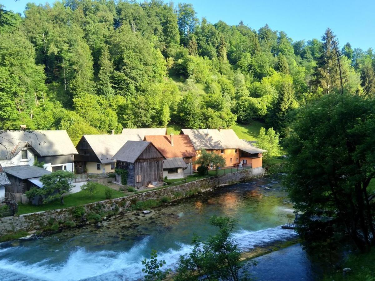 Zgornje GorjeHouse By The River别墅 外观 照片